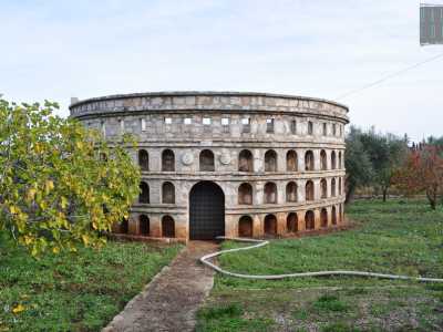 Ed ecco che in un prato verde molto curato possiamo ammirare il primo dei monumenti: il "colosseo"